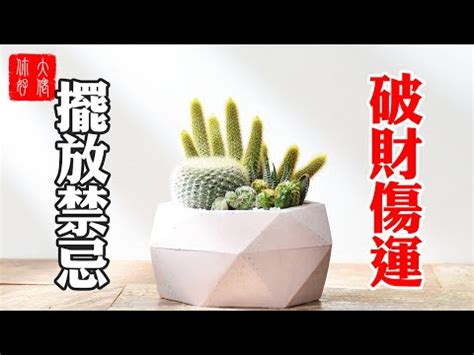 仙人掌防小人|仙人掌防小人房間：如何利用仙人掌化解小人問題 – 植物盆栽綠寶典